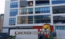 辛巴豪宅爆料事件视频,揭秘网红辛巴奢华生活背后的真相