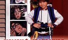 小鬼当家 在线观看,在线观看，重温童年欢乐时光