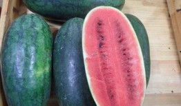 即墨网红吃瓜事件真相视频,真相视频曝光背后的惊人内幕