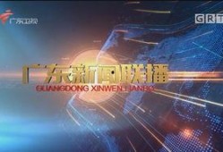 广东新闻联播爆料电话,揭秘电话背后的新闻故事