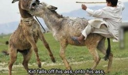 大驴爆料胜仔视频大全下载,胜仔视频大全独家下载攻略