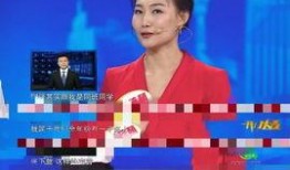 新闻爆料主播违法吗,法律边界与舆论监督的平衡