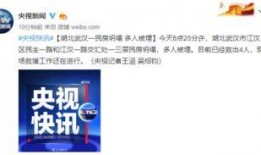 湖北武汉新闻爆料,聚焦城市热点事件