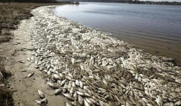 核污染排水最新爆料,真相与影响深度剖析