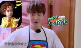 吃瓜娱乐酱v6,揭秘娱乐圈最新热点，带你畅游八卦海洋