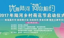 陆河新闻爆料2025