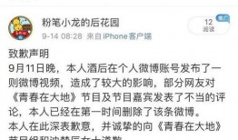 张小龙发视频爆料,短视频背后的秘密与未来趋势