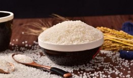 小米爆料大米视频大全,大米视频大全背后的精彩故事