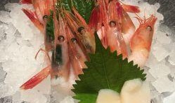 日料店甜虾爆料视频,独家爆料带你领略美味背后的秘密
