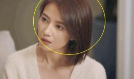 老杨爆料第十集视频播放,揭秘幕后真相，精彩内容抢先看