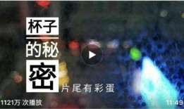 挪威回应爆料视频,真相与澄清并行