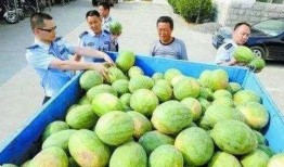 莒县网红吃瓜群微信号是什么,揭秘神秘微信号背后的故事