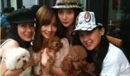 天涯博主最新爆料是谁,揭秘神秘幕后黑手