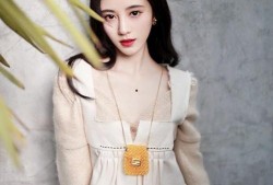 娱乐圈真实爆料鞠婧祎,娱乐圈背后的励志传奇