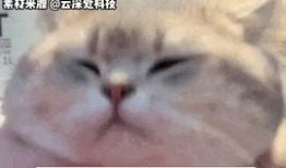 娱乐吃瓜主页,吃瓜群众必看的幕后故事