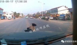 莱州沙河爆料事件视频,真相与争议的交织