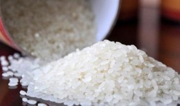 小米爆料大米视频大全,大米视频大全背后的精彩故事