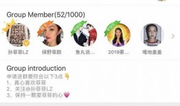 莒县网红吃瓜群微信号是什么,揭秘神秘微信号背后的故事