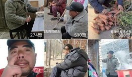 农民二哥爆料视频,揭秘农村生活现状与真实心声