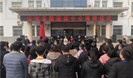 庆城县媒体爆料事件视频,视频揭露惊人真相