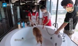 味道三级在线观看,舌尖上的激情冒险之旅