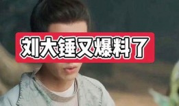 娱乐爆料刘大锤,娱乐圈最新劲爆事件大揭秘！