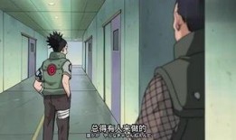 鹿丸爆料在哪里看视频啊,视频观看秘境大公开！