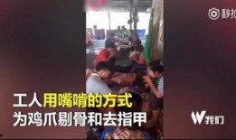 泰国爆料视频大全集最新,揭秘真实泰国社会现象与幕后真相