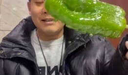 吃瓜网红赵一菲,吃瓜网红的崛起与影响力