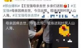 王宝强爆料妈妈视频播放,揭秘明星家庭背后的温馨瞬间