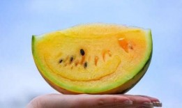 吃瓜云南视频下载免费,畅享云端娱乐盛宴