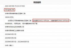 爆料最新项目是什么意思,最新爆料项目大揭秘！