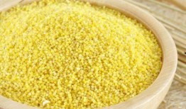 小米爆料大米视频大全,大米视频大全背后的精彩故事