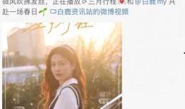 扒爷最新爆料白鹿行程,扒爷独家爆料