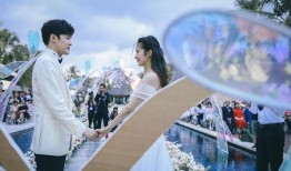 付辛博圈内人爆料,揭秘明星背后的真实故事