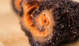 海参爆料原神视频,揭秘原神幕后制作过程与精彩瞬间