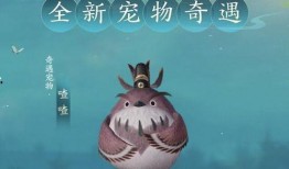 最新秘境宠物爆料网站