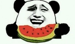 免费吃瓜怎么进,轻松解锁美食盛宴