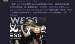 周一独家爆料直播回放视频,精彩瞬间回顾