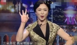 金星爆料插足女星视频,揭秘女星插足背后的真相