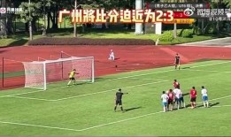 踢假球的爆料视频播放下载,揭秘足球赛场黑暗面