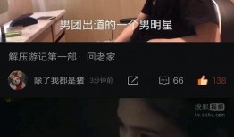 哈哥被爆料视频大全集在线观看,揭秘网络红人背后的真相